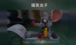 爆笑视频合集,让你笑到肚子疼